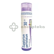 Boiron Eupatorium Perfoliatum, 30 CH, granulki, 4 g | DATA WAŻNOŚCI 28.02.2027