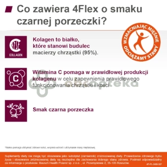 4Flex czarna porzeczka, 30 saszetek