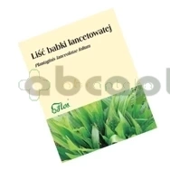 Liść babki lancetowatej, 50 g,