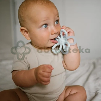 Babyono gryzak silikonowy Flower, 1596/02, niebieski, 1 sztuka