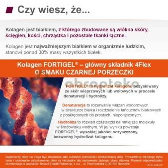 4Flex czarna porzeczka, 30 saszetek