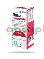 Rodzina Zdrowia BetaGlucasine, 120 ml | DATA WAŻNOŚCI 31.10.2026