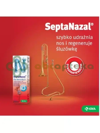 Septanazal dla dorosłych, aerozol do nosa, 10 ml