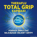 Theraflu Total Grip 16 kapsułek