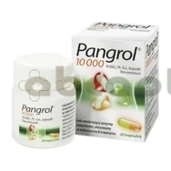 Pangrol 10 000, 20 kapsułek