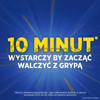 Theraflu Total Grip 16 kapsułek