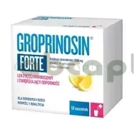 Groprinosin Forte 1000 mg, 10 saszetek | DATA WAŻNOŚCI 31.03.2026