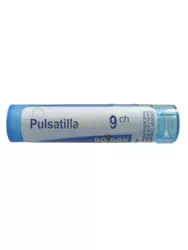 BOIRON Pulsatilla 9 CH 4 g