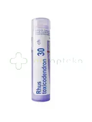 BOIRON Rhus Toxicodendron 30 CH 4 g