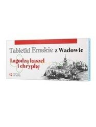 Tabletki Emskie z Wadowic, 12 pastylek